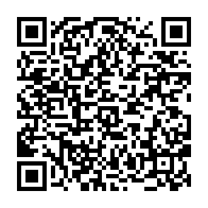 cPanel Email Quota Limit phishing scam QR code