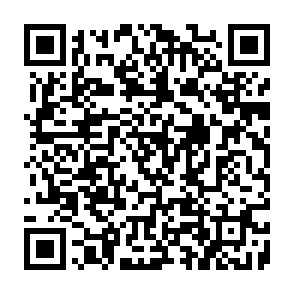 CrashStealer virus QR code