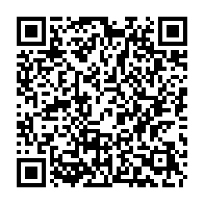 Crypto Paper Hands crypto scam QR code