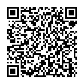 Fake Crypto Trading Bot QR code