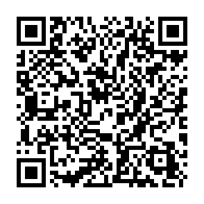CryptoBot stealer QR code