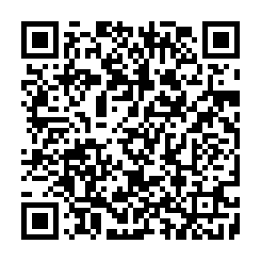 Ads by culactocan.co.in QR code