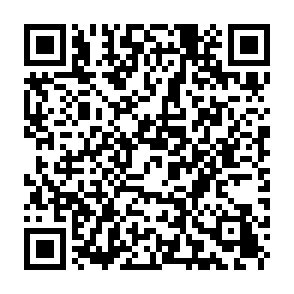 Cypher ($CYPR) Vote Rewards crypto drainer QR code