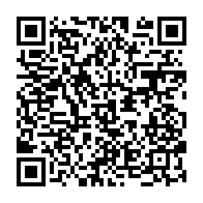 Ads by dalubform.com QR code