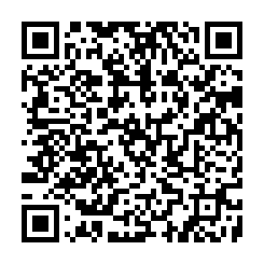 DebugElevator info stealer QR code