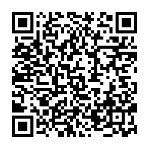 Fake Dexscreener Vote Rewards website QR code