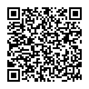 Ads by digitalmeshweb.co.in QR code