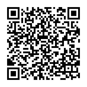 Ads by diversorks.co.in QR code