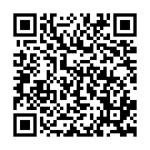 dnsvibes.co pop-up QR code