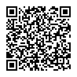 Ads by dofirewall.co.in QR code