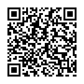 Dolphin X remote access trojan QR code