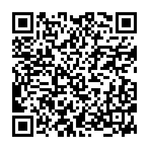 Domain(s) Expired phishing scam QR code