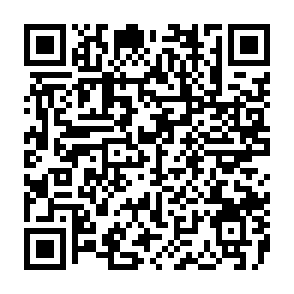 DotStealer 2.0 virus QR code