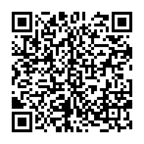 Ads by dsfirewall.co.in QR code