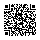 Dynamic information stealer QR code