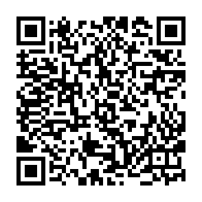 Fake Earn Sahara Points website QR code