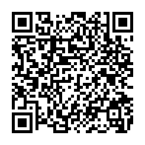 Fake Ether.fi Treasury Pool website QR code