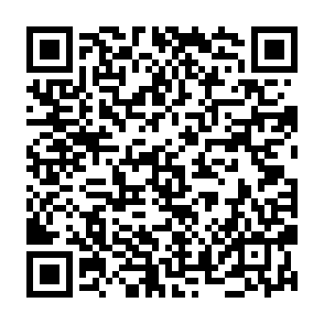 $ETHFI Vote Rewards Scam QR code