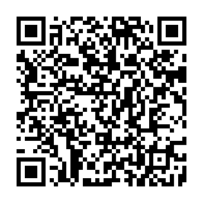 Fake Evaa Protocol Airdrop QR code