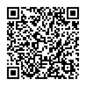 Evolution information stealer QR code