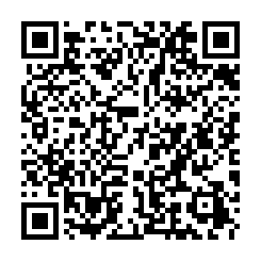 Fraudulent Alpha Fi platform QR code