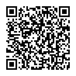 Fake BabyDoge Website crypto drainer QR code