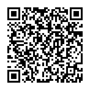 Fake Centric Website crypto drainer QR code