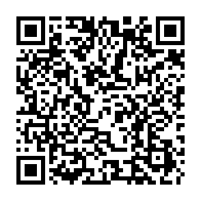 Fraudulent Echo Protocol page QR code