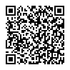 Fake Euclid Swap Website crypto drainer QR code