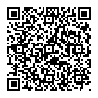 Fake Flare Portal Website phishing scam QR code