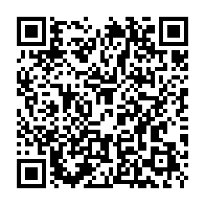 Fake Fleek Website crypto drainer QR code