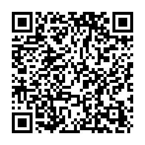 Fake Fluid (fluid.io) platform QR code