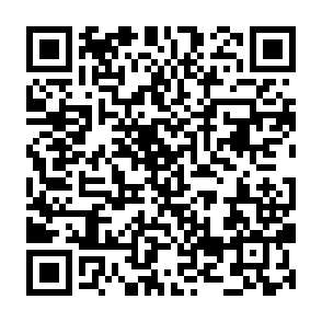 Fake Griffain Website crypto drainer QR code