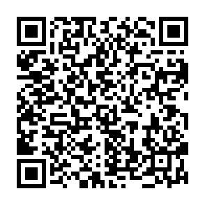 Fake Kintara.gg Website QR code