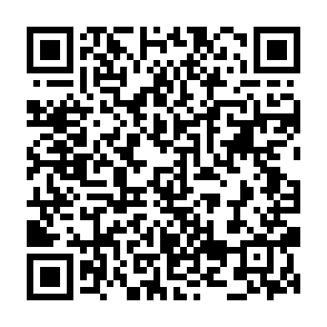 Fake Mainnet Deployer phishing scam QR code