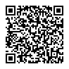 Fake MegaETH Sale crypto drainer QR code