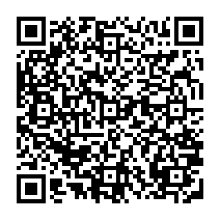 Fake Mint Blockchain platform QR code