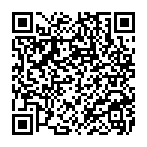 Fake Morpho platform QR code