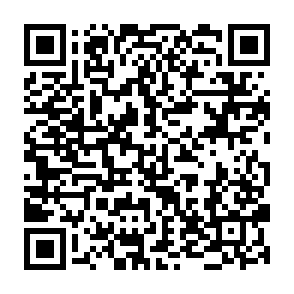 Fake Multichain Website crypto drainer QR code
