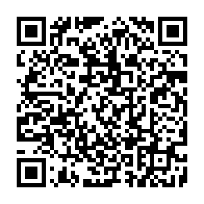 Fake OpenClaw AI Website crypto draining scam QR code