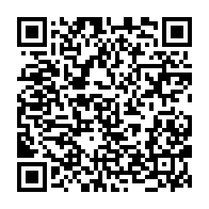 Fraudulent Plasma (XPL) web page QR code