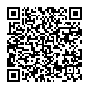 Fake Qubetics Website crypto drainer QR code