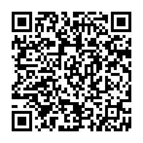 Fake Rarible website QR code