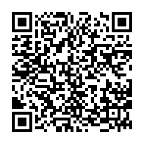Fraudulent RUG AI V2 platform QR code