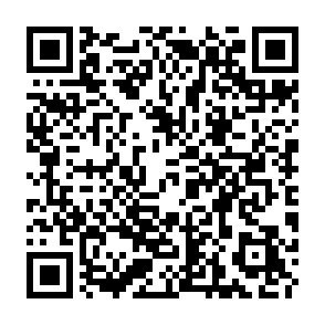 Fake Troll Coin Website crypto drainer QR code