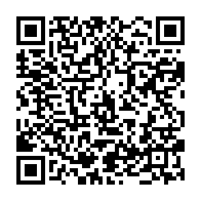 Fake USDT Wallet Checker crypto drainer QR code