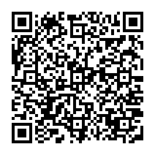 Fake WhaleAI Blockchain Tool QR code