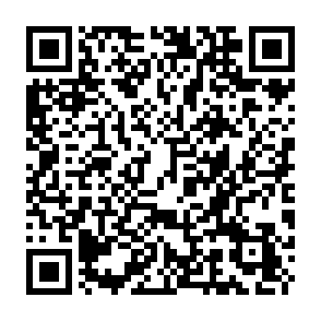 Fake Xeno script executor QR code