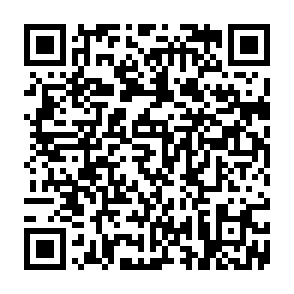 Fake Yala Website crypto drainer QR code