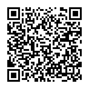 Flap Vote Rewards crypto drainer QR code
